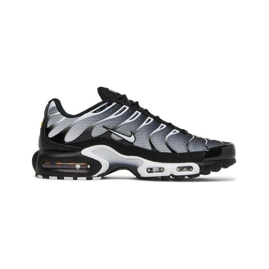 Nike Air Max TN Plus "Black/Metallic Silver"